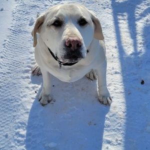 Meet your Posher, Marissa